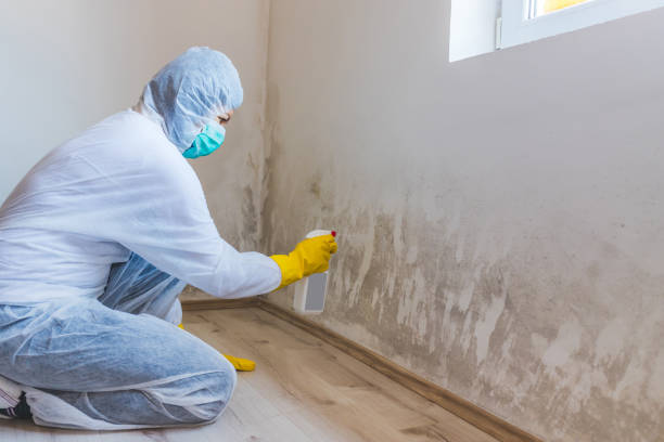Crawl Space Mold Remediation treatment of floor joists in Union City