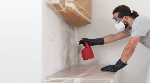 Basement Mold Remediation treatment on basement walls in Union City